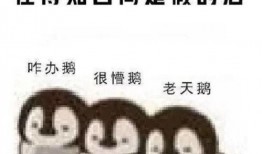 小说吃瓜大反转,揭秘小说中的惊天大反转