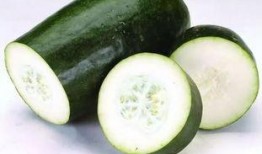 微山热门吃瓜,揭秘当地美食背后的故事与传说