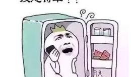 室友吃瓜吐了,揭秘背后惊人真相