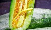 网红学霸吃瓜图片,揭秘学霸日常趣味一面