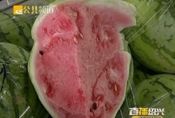 绍兴吃瓜,探寻古城的夏日美味传奇