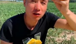 吃瓜的样子真好,品味生活真谛