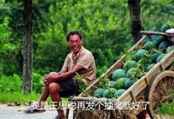 吃瓜游游,揭秘娱乐圈那些不为人知的幕后故事