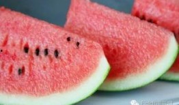 吃风瓜的危害,警惕吃风瓜带来的潜在危害