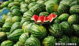 西瓜田吃瓜过瘾