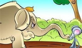 怎么保护瓜不让老鼠吃