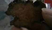 瓜洲锁阳如何吃,传统滋补佳品的多重食用方法揭秘