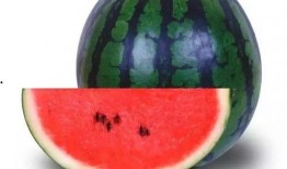 潜江吃瓜人,吃瓜人生，品味生活百态