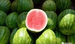 邯郸魏县吃瓜群众