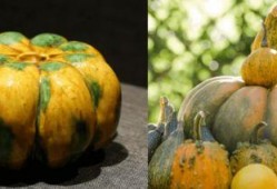 回基吃瓜,揭秘娱乐圈背后的那些事儿