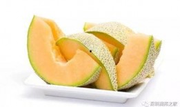 9个月可以吃哈密瓜