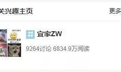 宜家吃瓜视频地址,一场家居界的“瓜田战记”