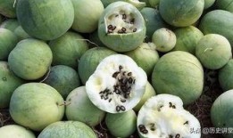 嗑个瓜吃,明星幕后那些事儿