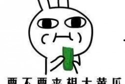 吃瓜不怕瓜大