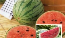 揭阳玉都吃瓜,探寻瓜果飘香的甜蜜时光