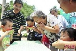 吃瓜大赛夺冠技巧,揭秘吃瓜大赛夺冠秘籍