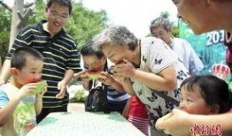 吃瓜大赛夺冠技巧,揭秘吃瓜大赛夺冠秘籍