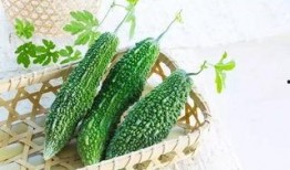 吃瓜张晓曦,揭秘娱乐圈幕后故事