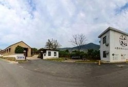 合肥 吃瓜公社,揭秘城市生活趣味圈