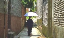 武康吃瓜事件,一场网络舆论的风暴与反思