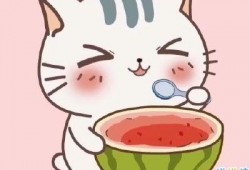 夏天吃瓜句子简短,瓜果飘香