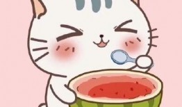 夏天吃瓜句子简短,瓜果飘香