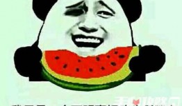 吃瓜看哪些内容