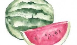 深度吃瓜爱好者,吃瓜群众的瓜界风云录