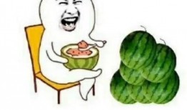 回基吃瓜,揭秘娱乐圈背后的那些事儿