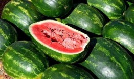 吃瓜出神图,揭秘娱乐圈幕后故事