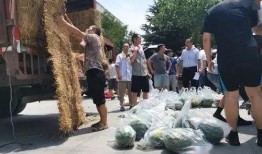 各大校吃瓜,揭秘各大高校的吃瓜盛事