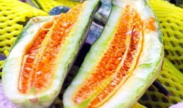 网爆吃瓜热点,揭秘娱乐圈最新八卦风云