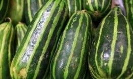 今日还有瓜吃吗,揭秘今日热点事件大盘点