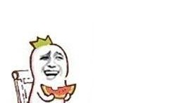 吃瓜表情包大赛,欢乐盛宴，表情包界的狂欢盛典