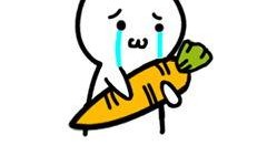 萝北吃瓜的粉丝