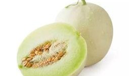 白雪瓜怎么吃,解锁美味新体验