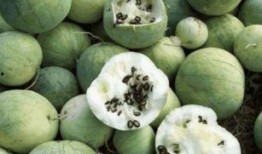 路人吃瓜的反应,表情包横飞，笑料百出