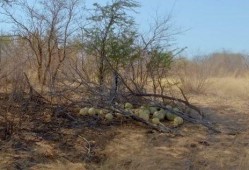 回村吃瓜现场,一场别开生面的乡村生活秀