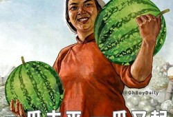 吃瓜的年轻人,揭秘网络时代的围观文化