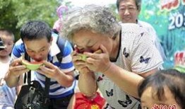 吃瓜大赛夺冠技巧,揭秘吃瓜大赛夺冠秘籍