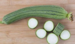 夏天吃的瓜叫什么瓜,探寻夏天的“甜蜜”代表——瓜瓜世界