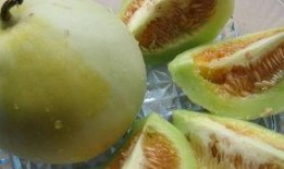 梨瓜可以吃,美味多汁，健康养生的夏日佳品