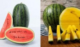 二壮吃瓜,揭秘娱乐圈幕后故事