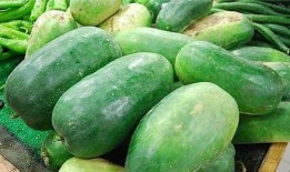 昆明嫩圆瓜怎么吃,昆明嫩圆瓜的多彩食法探索