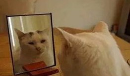 吃瓜姐妹专用的,揭秘娱乐圈背后的那些事儿