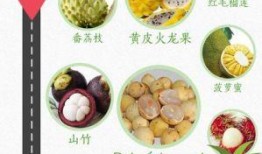 双排下路吃瓜,揭秘电竞圈幕后风云