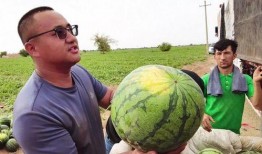 乌鲁木齐大火吃瓜,悲剧背后的真相与反思