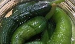 小壮瓜怎么腌着吃