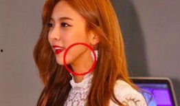 明星上网吃瓜,揭秘娱乐圈幕后故事