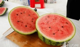 上海店吃瓜,一场舌尖上的夏日盛宴